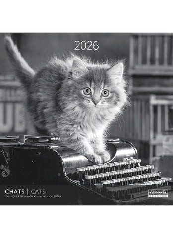 Cats in Black & White Wall Calendar 2026 - front cover