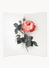 UWP Luxe 3D Pop-up Card - Rose