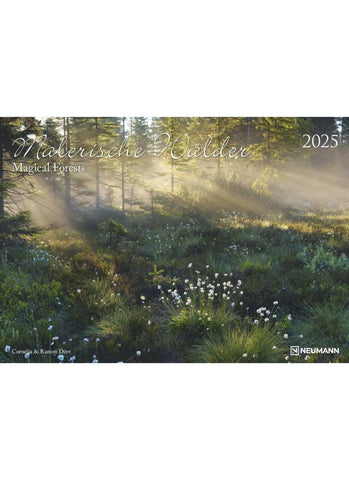 Magical Forests Large Wall Calendar 2025