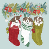 Three dogs in colorful Christmas stockings with festive decorations on a light blue background.