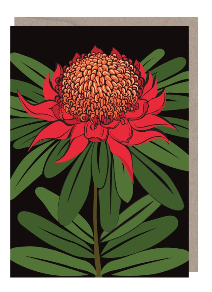 Emma Miszalski art card - Waratah