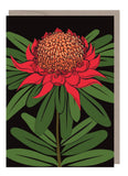 Emma Miszalski art card - Waratah