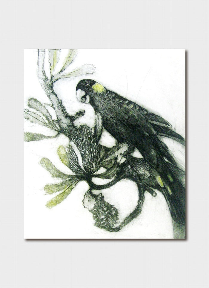Yellow Tailed Black cockatoo art card by Jo Hollier.
