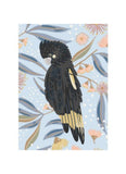 Black cockatoo on a floral background
