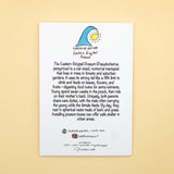 Educational poster about the Eastern Ringtail Possum on a beige background