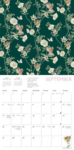 Flower Fairies 2026 Calendar
