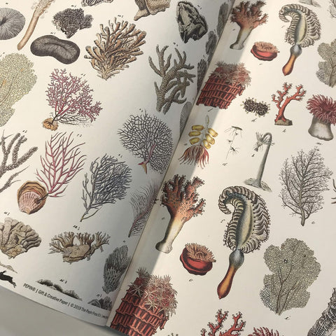 Marine Gift & Creative Wrapping Papers