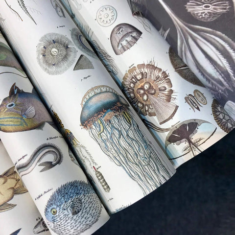 Marine Gift & Creative Wrapping Papers