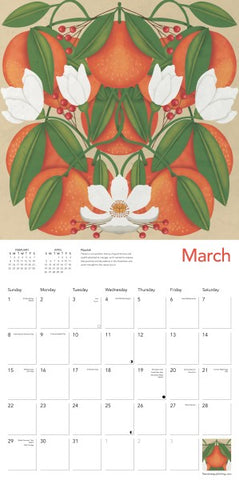 Nina Pace Wall Calendar 2026