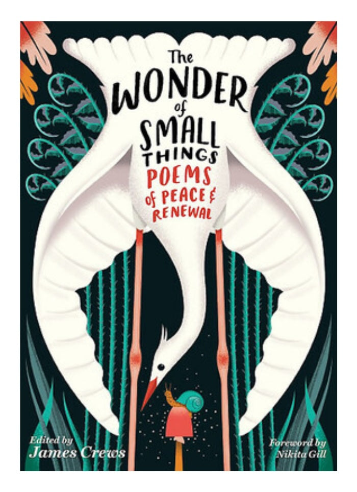 The Wonder of SMall Things - Poems of Peace and Renewal, eidted by James Crews