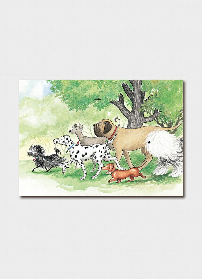 Hairy Maclary and Friends (3436)