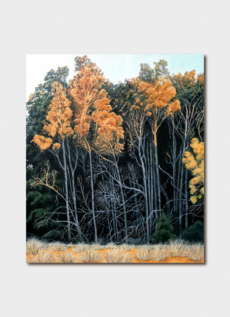 Sandi Rigby Art Card - Dusk, Gerroa