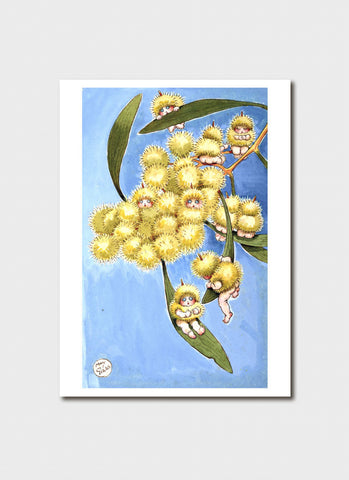 May Gibbs Art Card - 'Wattle Babies'