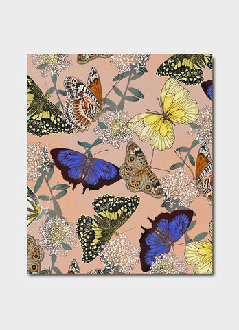 Eloise Short - Butterflies