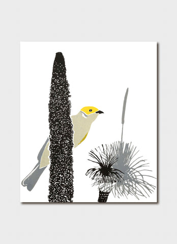 Fleur Rendell art card - White Plumed Honeyeater