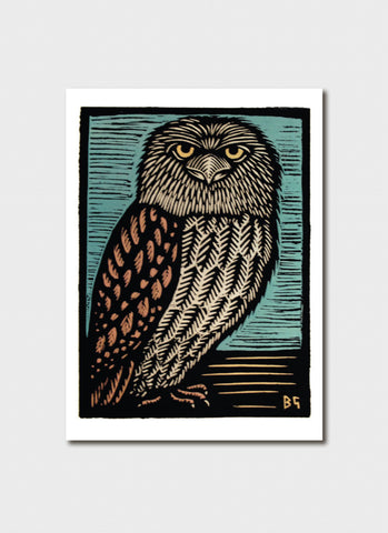 Bruce Goold Art Card - Tawny Frogmouth