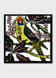 Kit Hiller art card - Green Rosella