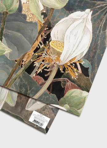Cressida Campbell - Lotus Wrapping Paper (detail)
