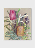 Ellis Rowan - Menzies Banksia