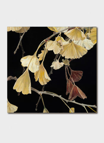 Cressida Campbell art card - Ginkgo