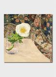 Cressida Campbell Card Pack - Objects and Plants