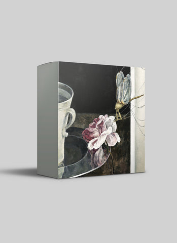 Cressida Campbell Card Pack - Transience