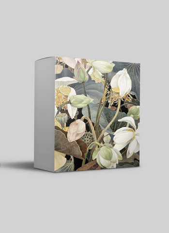 Cressida Campbell Card Pack - Lotus