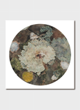 Cressida Campbell Tondo Card Pack 1
