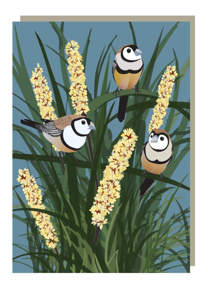 Emma Miszalski - Double-barred Finches