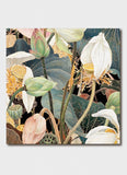 Cressida Campbell - Lotus Flowers