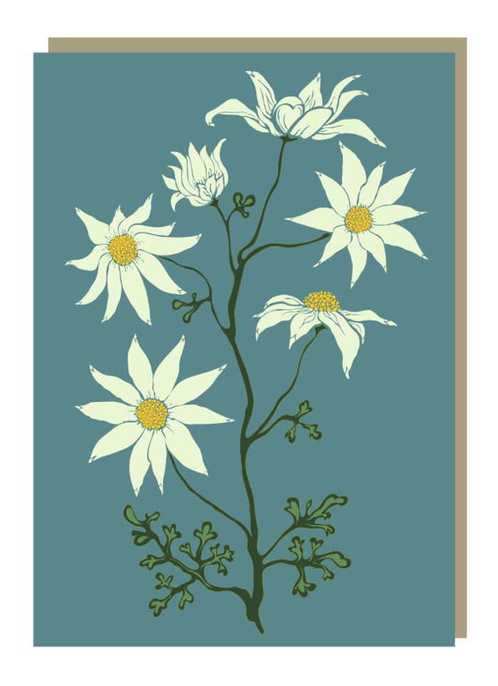 Emma Miszalski - Flannel Flowers