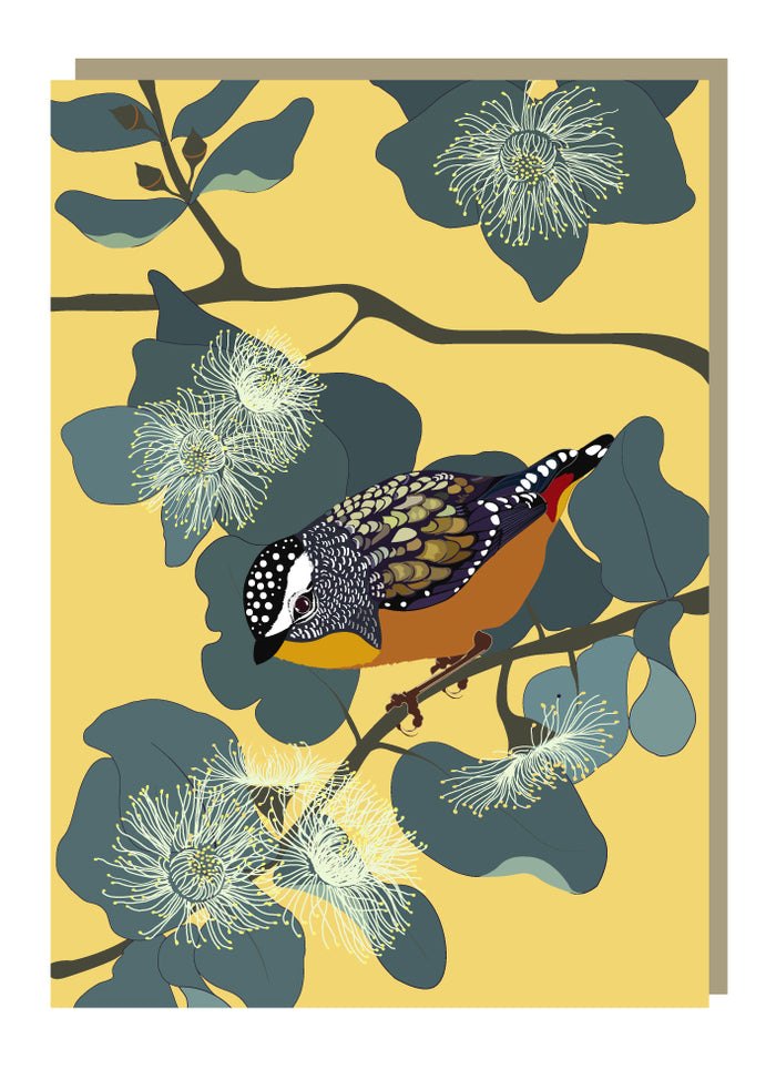 Emma Miszalski - Pardalote