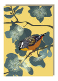 Emma Miszalski - Pardalote
