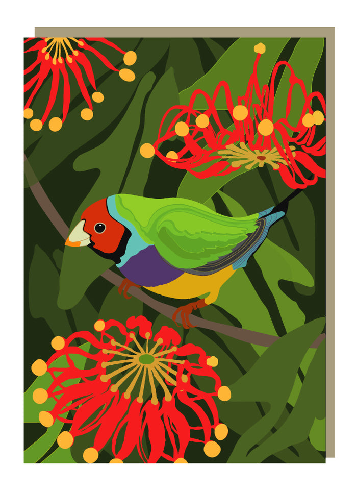 Emma Miszalski - Gouldian Finch
