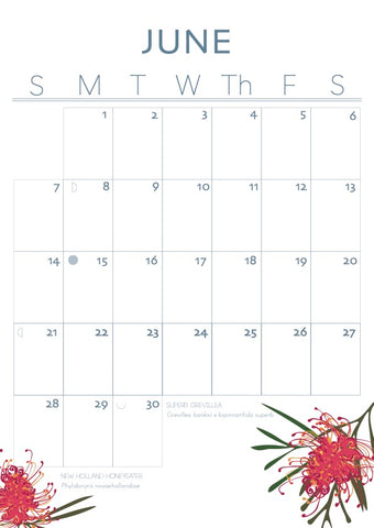 Calendar for June with floral designs on a white background