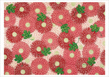 Japanese Decorative Designs Boxed Notecards card 3