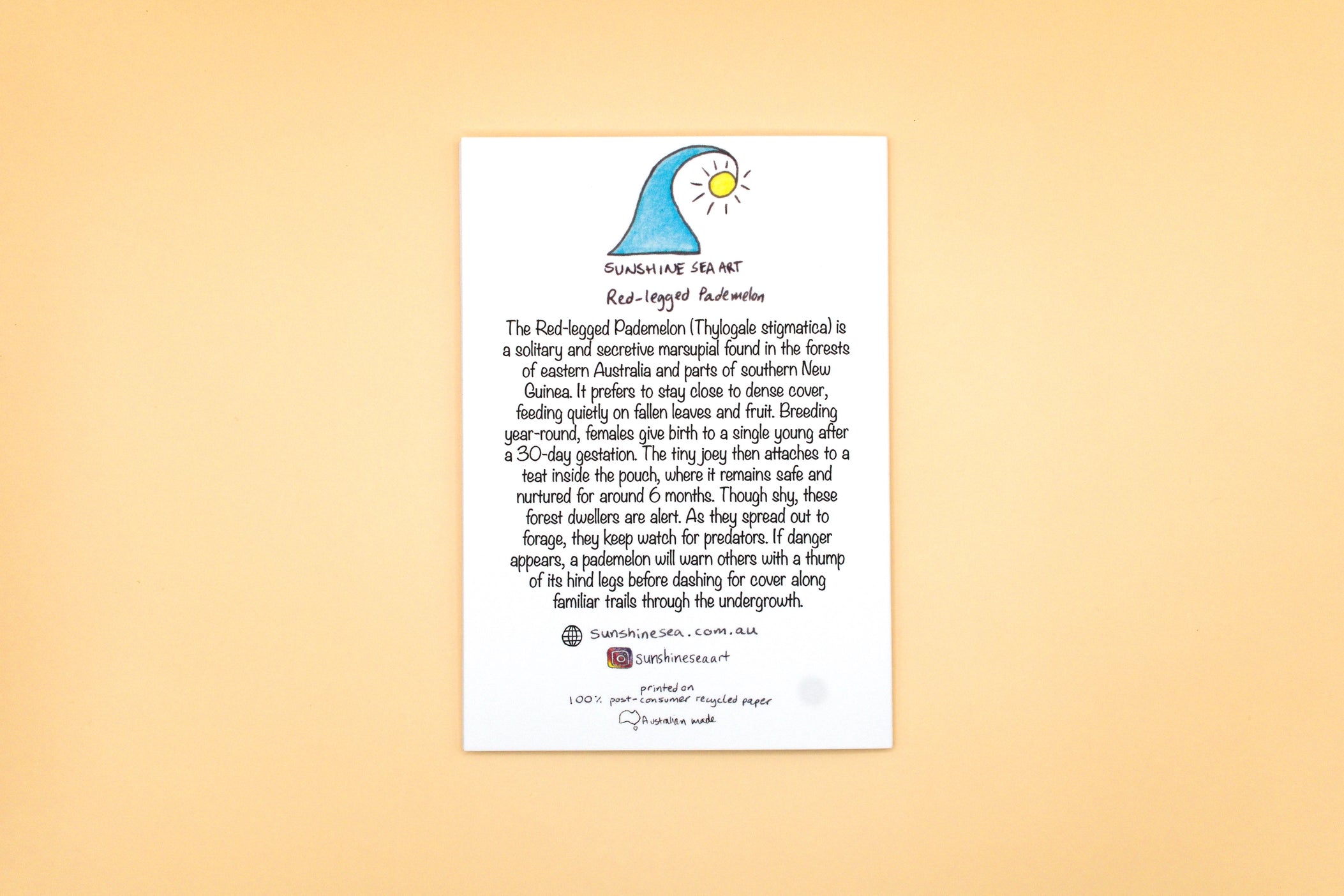Educational poster about red-legged parakeets on a beige background