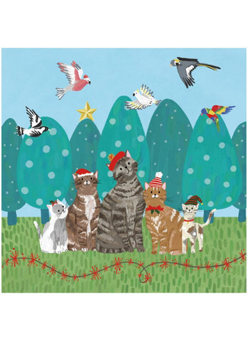 BCNA Charity Christmas Card Pack - Santa Cats - card