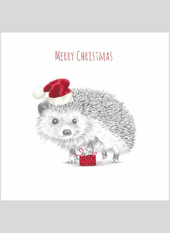 CMRI Charity Christmas Card Pack - Hedgehog Present - card