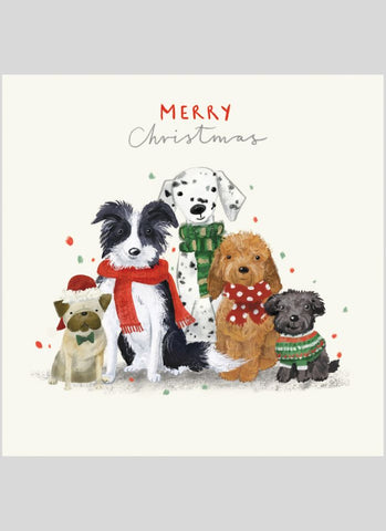 CMRI Charity Christmas Card Pack - Furry Friends - card