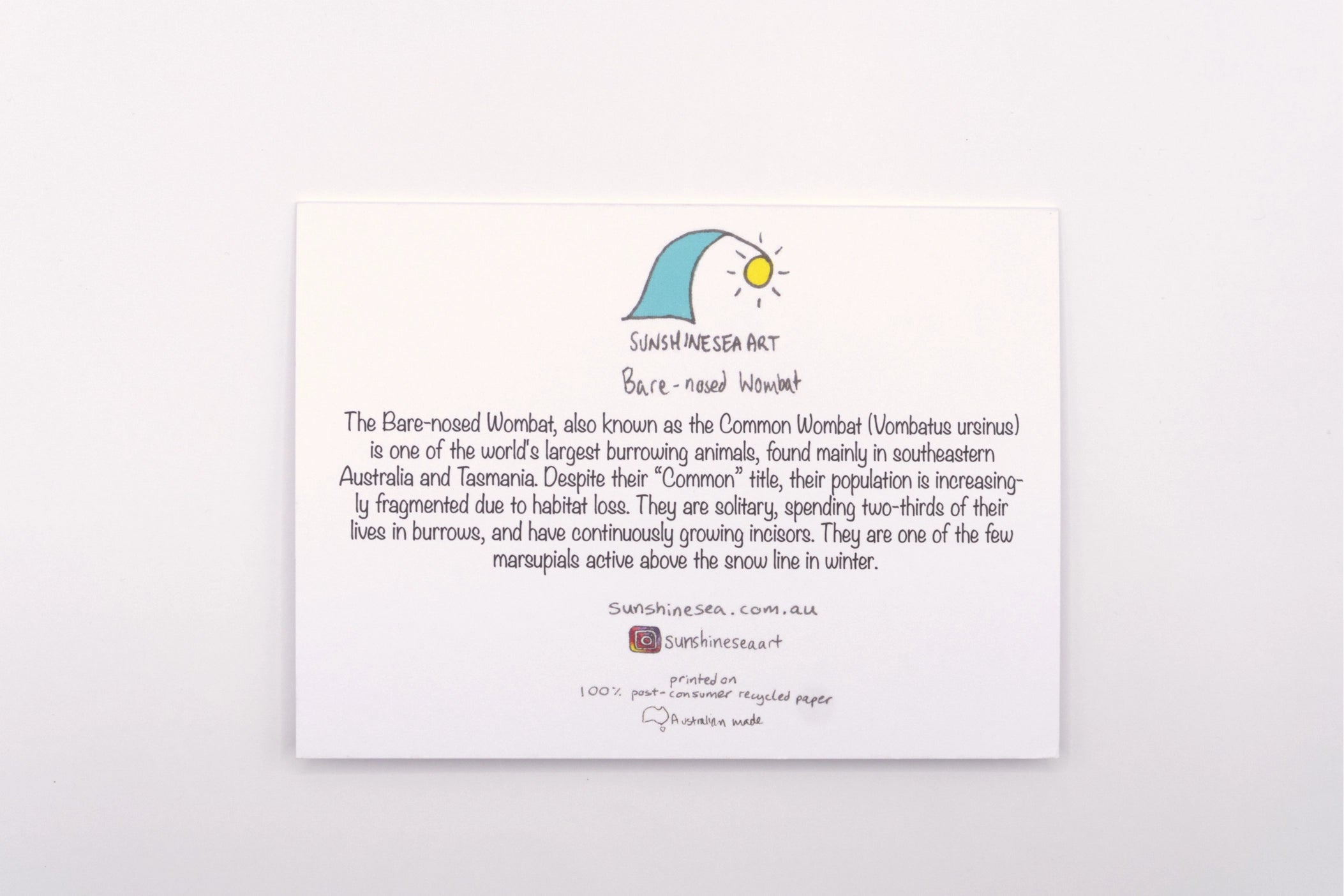 Educational card about the numbat with a cartoon illustration on a white background