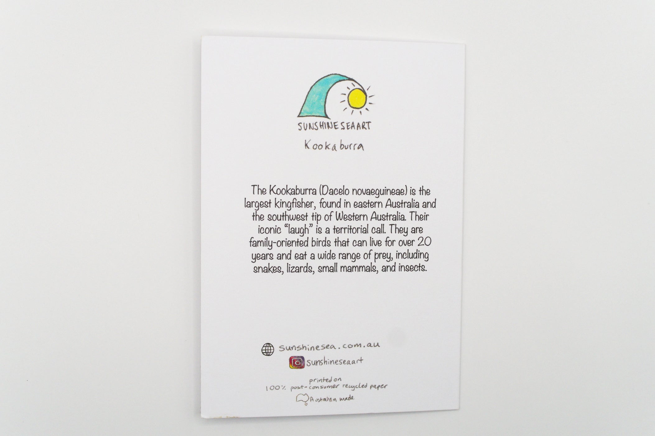 Educational poster about Kookaburra with text and logo on a white background