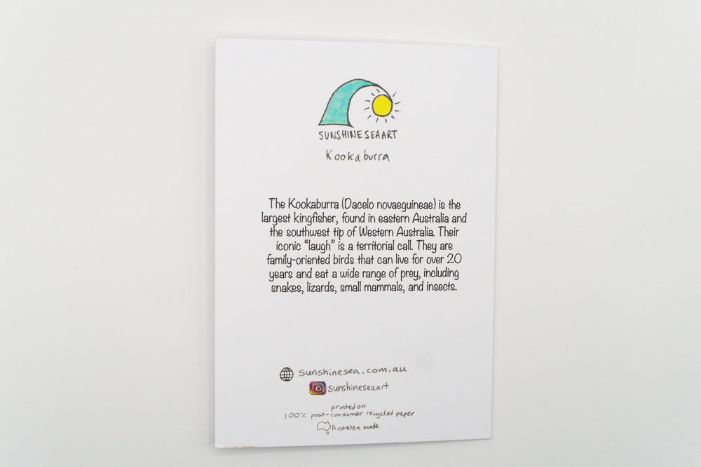 Educational poster about Kookaburra with text and logo on a white background