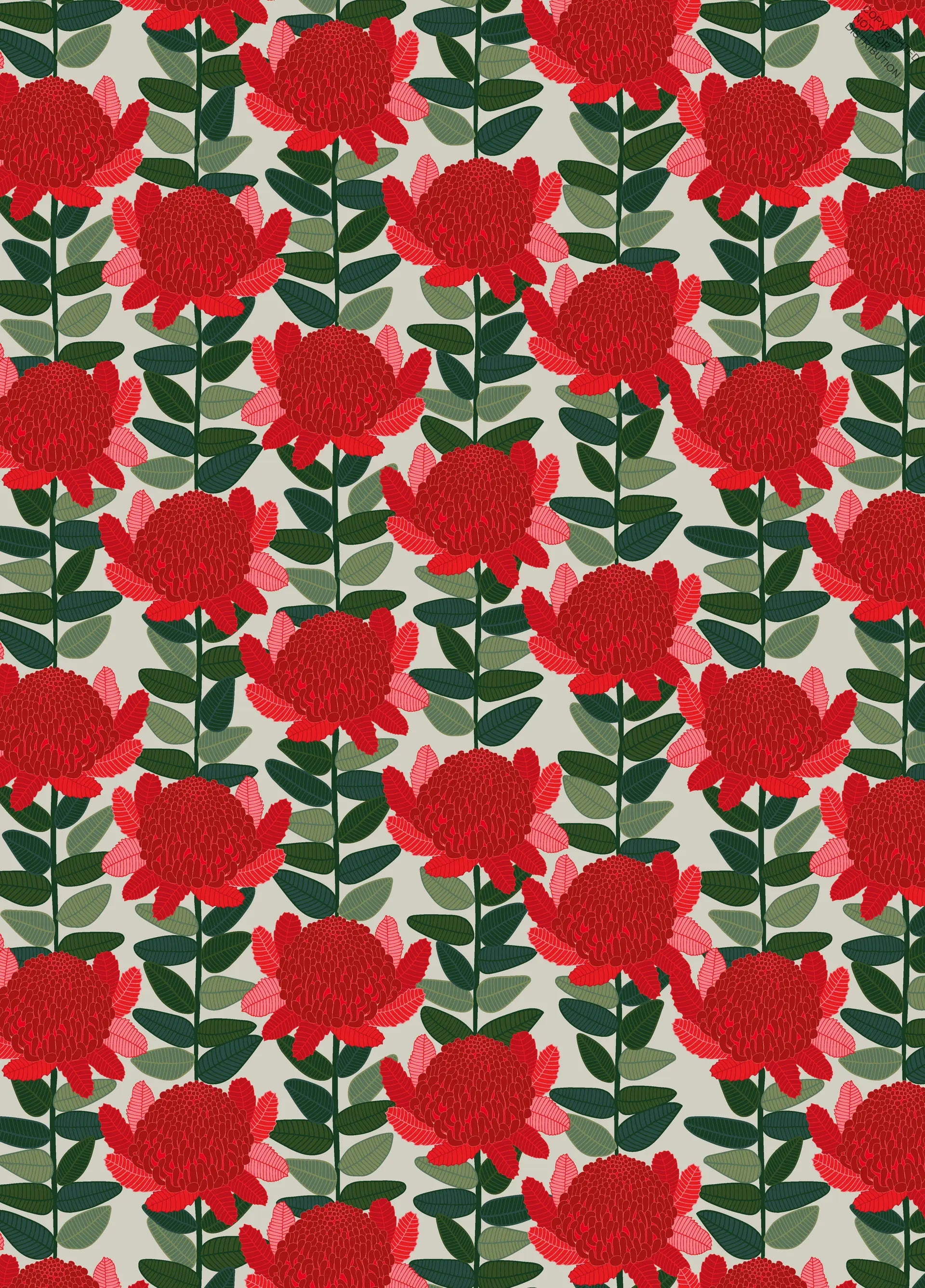 All Wrapped Up - Christmas by Jocelyn Proust - red, white and green waratah pattern