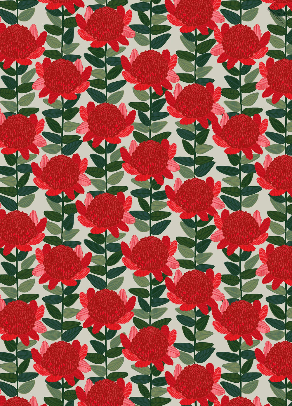 All Wrapped Up - Christmas by Jocelyn Proust - red, white and green waratah pattern