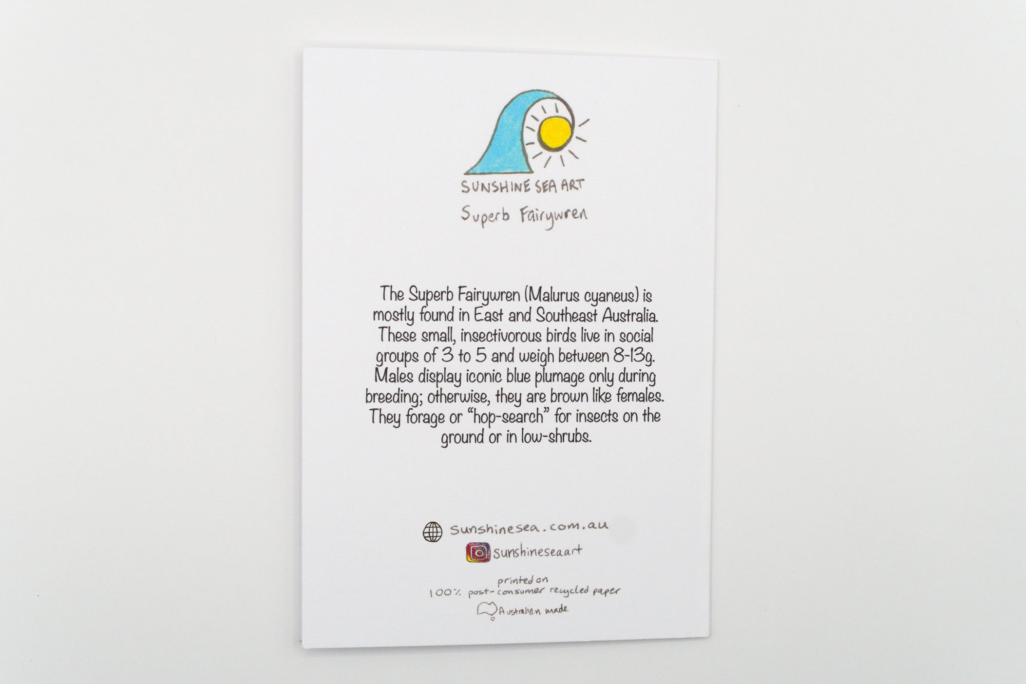 Educational card about Superb Fairywrens with a sun illustration on a white background