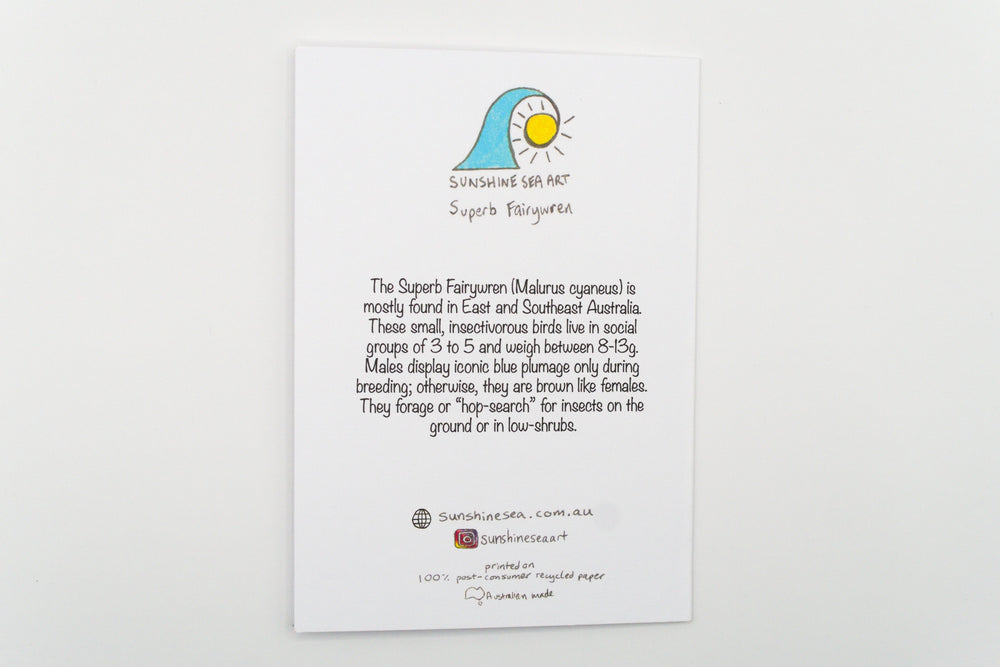 Educational card about Superb Fairywrens with a sun illustration on a white background