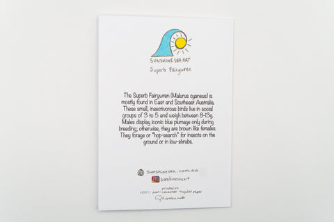 Educational card about Superb Fairywrens with a sun illustration on a white background