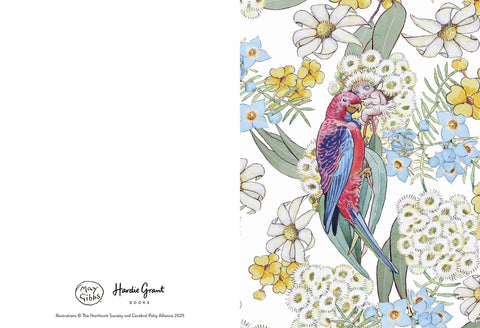 May Gibbs - Boxed Gift Cards