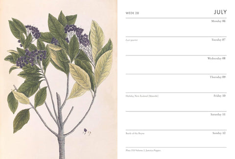Calendar page with botanical illustration of a plant on the left and text on the right.